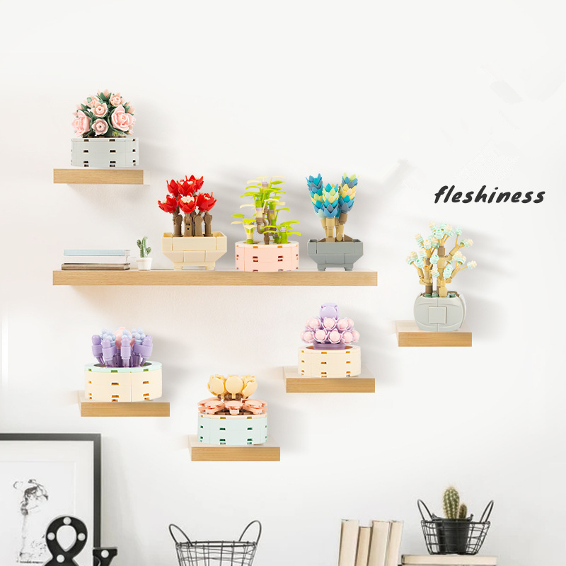 DIY MOC Potted Plants Succulen - Bonsai Garden Experts recension och pris