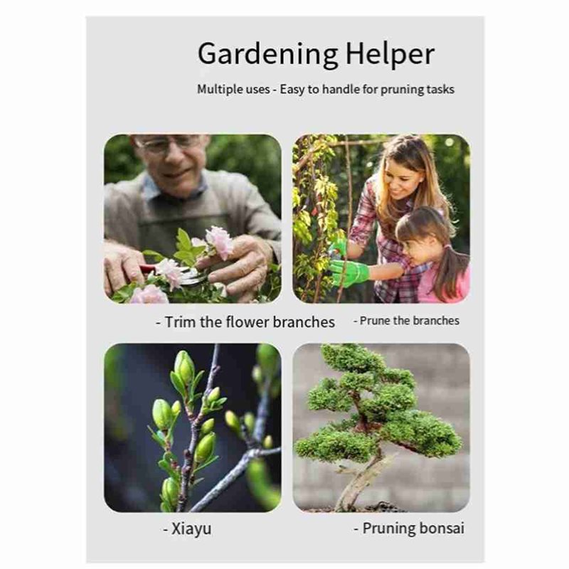 ALIM-Bonsai Tree Tools, 4 Piec - Root Hook Tool recension och pris