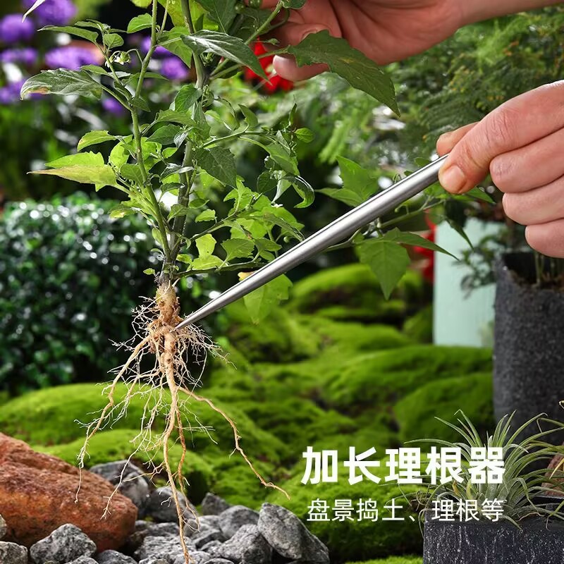 Solid Stainless Steel Root Hoo - Root Hook Tool recension och pris