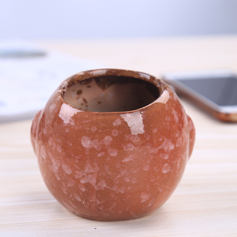 Mini Ceramic Owl Succulent Pla - Bonsai Garden Gift recension och pris